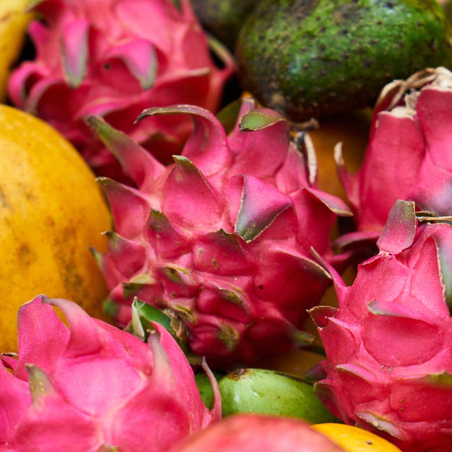 Dragon-Fruit